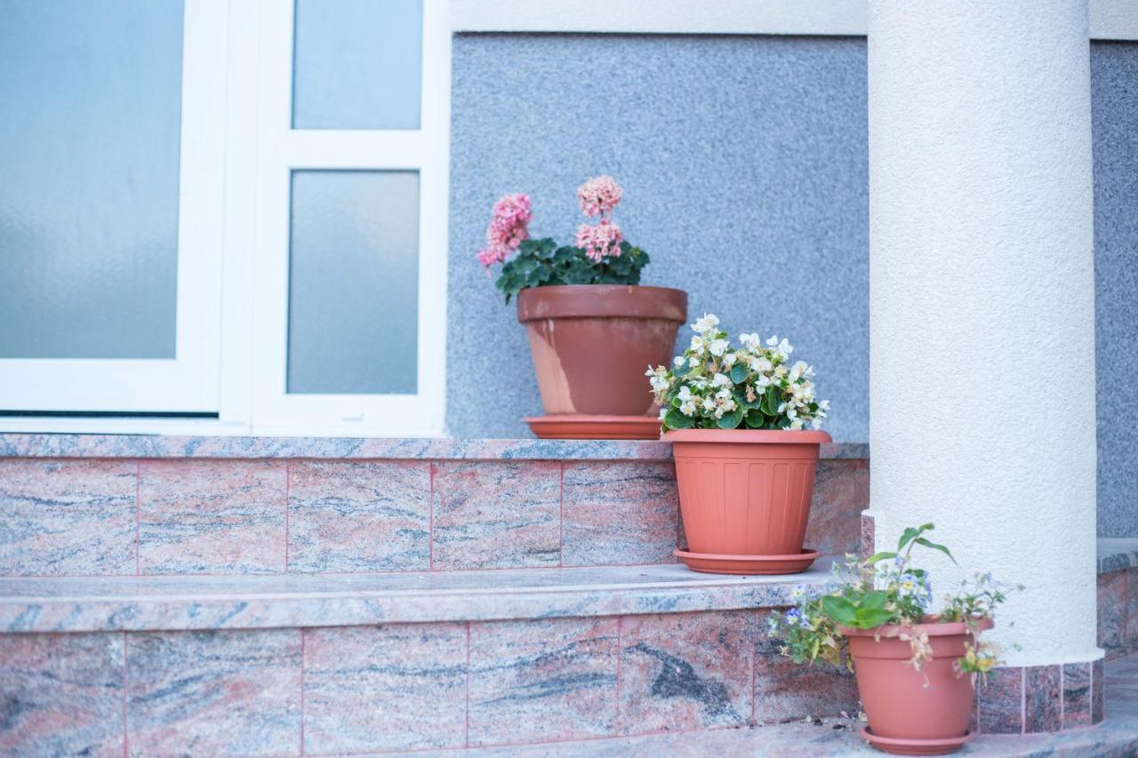 וודיצה Apartments Lovas מראה חיצוני תמונה
